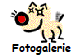 Fotogalerie