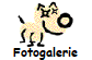 Fotogalerie