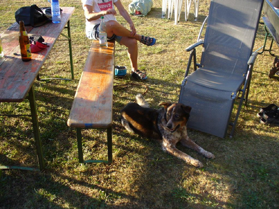 Kstel26